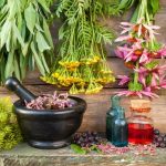 top 10 herbs for diabetes
